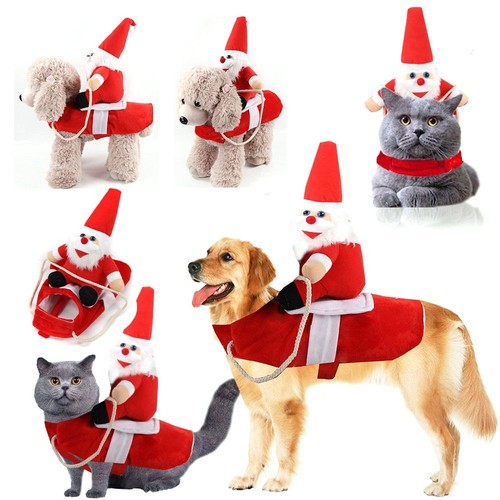 Christmas santa claus riding - santa,