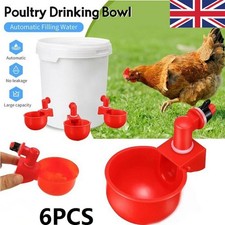Automatic chicken water - 6x,