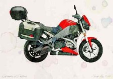 A4 Photo Buell XB12XT 2008