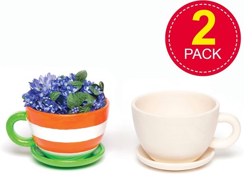 Cup and saucer ceramic plant - cup,