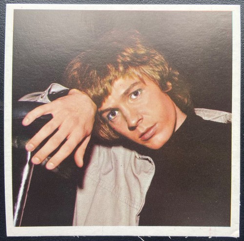 Rookie 1969 mister - rookie,