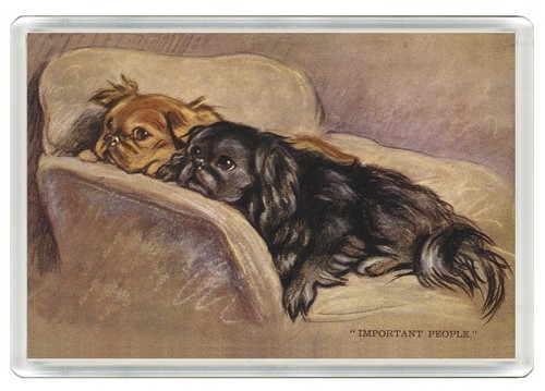 Pekingese dog fridge magnet - dog,