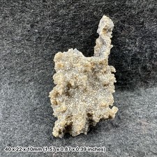 Crystal fulgurite (petrified