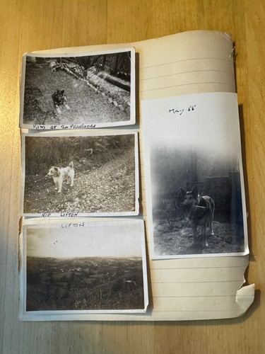 Photo photographs lifton - -,