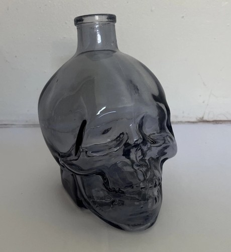 Vintage gothic skull head - vintage,