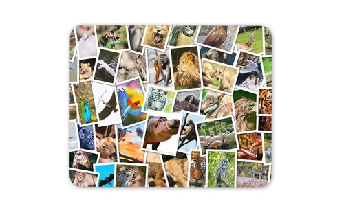Awesome animal polaroid mouse - awesome,
