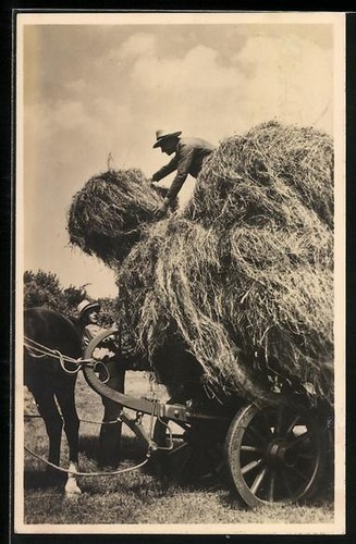 Vecht two farmers a - farmers, hay