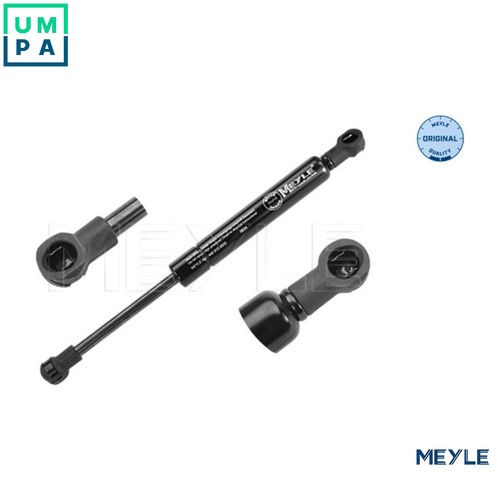 Gas spring bootcargo area - gas,
