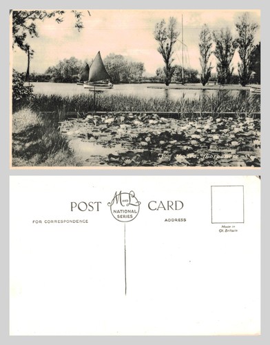 Vintage postcard the meare - postcard,