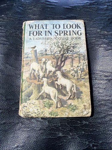 What look for spring - spring,