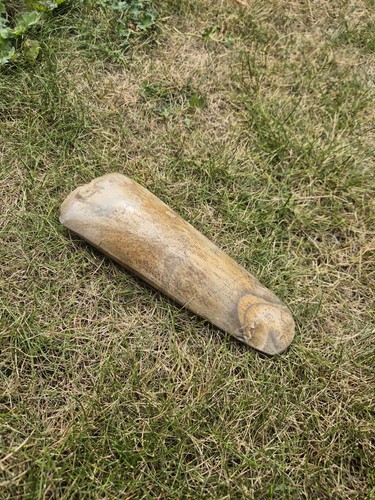 British neolithic polished - british,