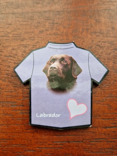 Chocolate labrador magnet - labrador,