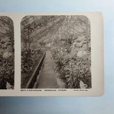 Kew Gardens Stereoview C1910