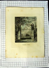 Original Old Antique Print