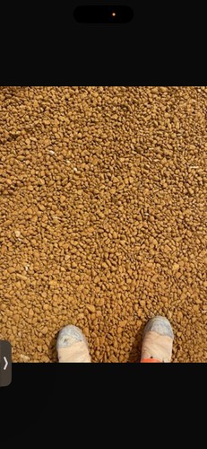 Cotswold chippings 20t - chippings,