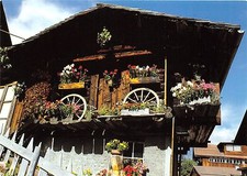 B50085 Chalet in Murren   france