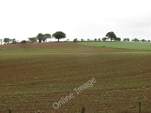 Photo 6x4 arable - 6x4, land,