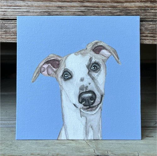 Whippet dog portrait painting - dog,