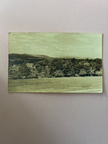 The white mountains - white, knobb