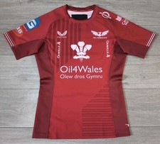 Llanelli Scarlets Rugby Home