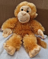Teddy mountain monkey - teddy,