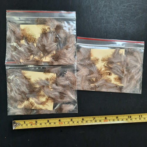 Three packs brown - packs, and
