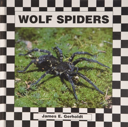 Wolf spiders - wolf,