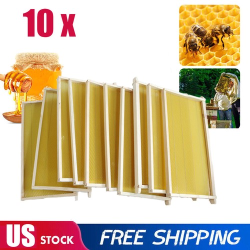 Bee hive frames - 10,