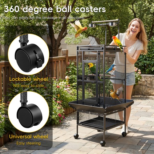 Large corner bird - 61", cage