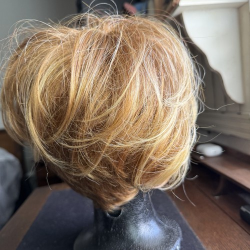 Raquel welch mystique wig r29s - welch,