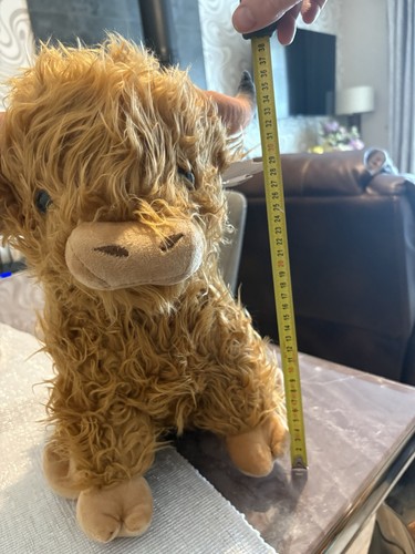 Adorable cuddly highland cow - adorable,