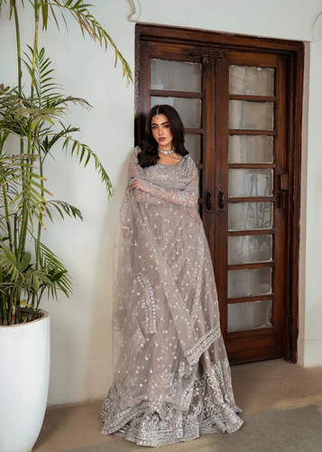 Wedding party wear pakistani - party,
