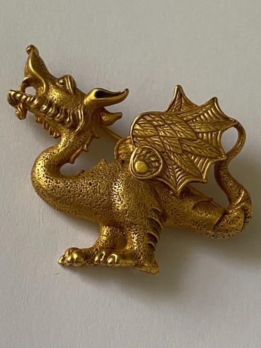 Rare dragon brooch