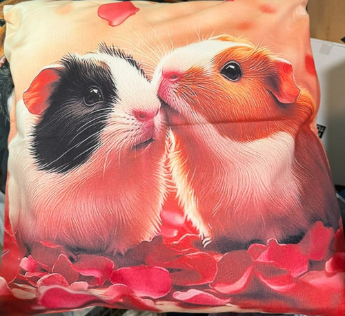 New guinea pig - new,