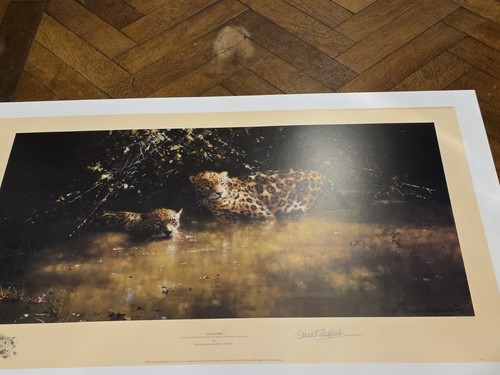 David shepherd signed ltd - david,