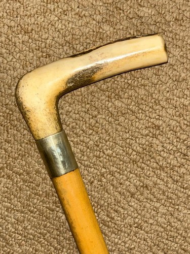 Antique malacca walking stick - antique,