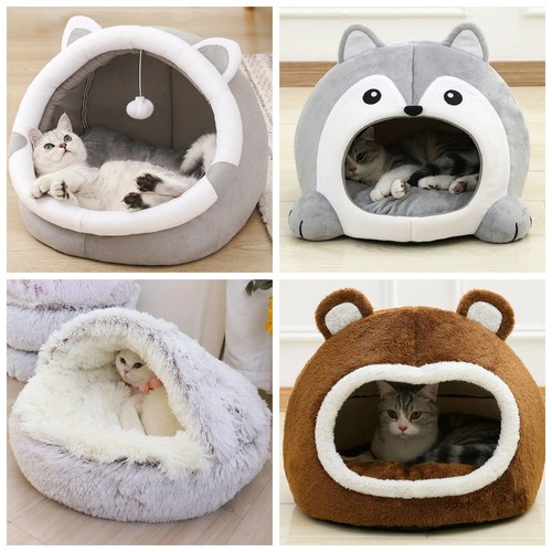 Large pet cat - cat, bed