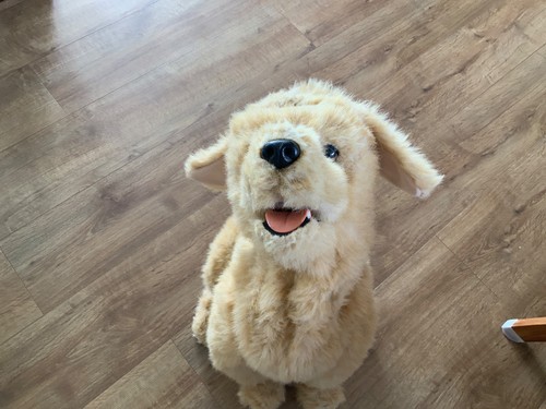 Biscuit lovin pup large - my, lovin'