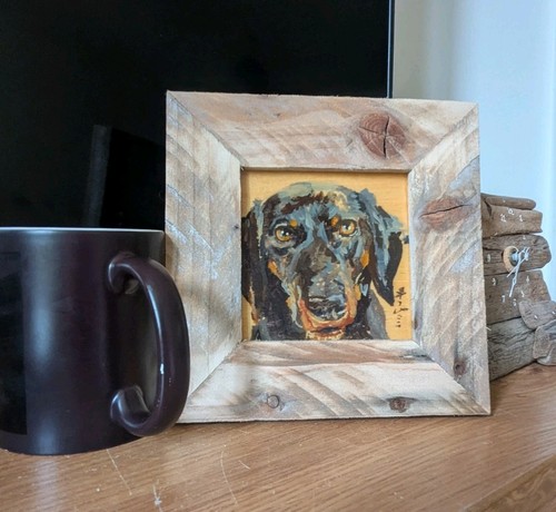 Dachshund dog portrait - dachshund, 3