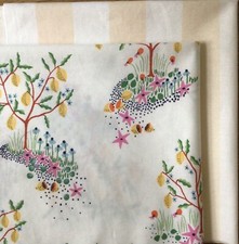 Lemon Tree  & Stripes Cath