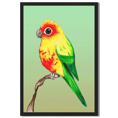Cute sun conure parrot - parrot, framed