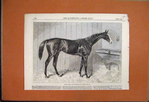 Original old antique print - old,
