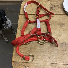 Monty Roberts Dually