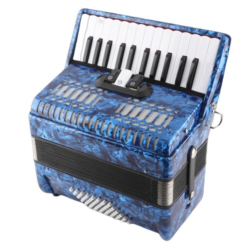 Irin celluloid accordion - celluloid,