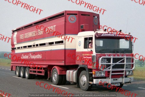 Truck photo fred greenwod - photo, &