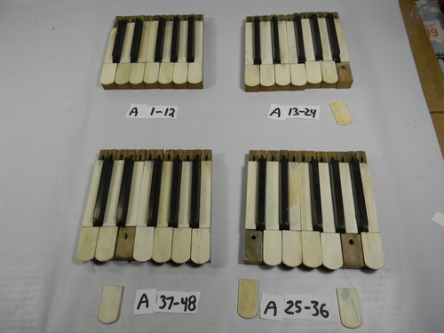 1890s pump organ keys - 1890s,
