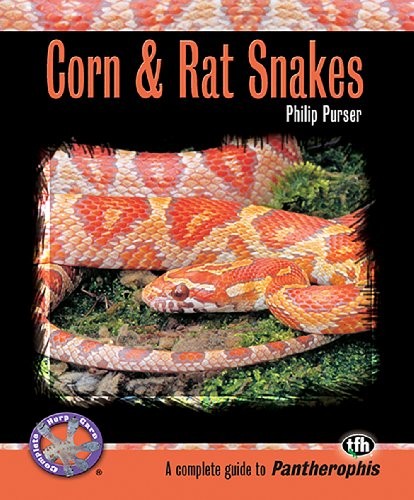 Corn and rat snakes - and,