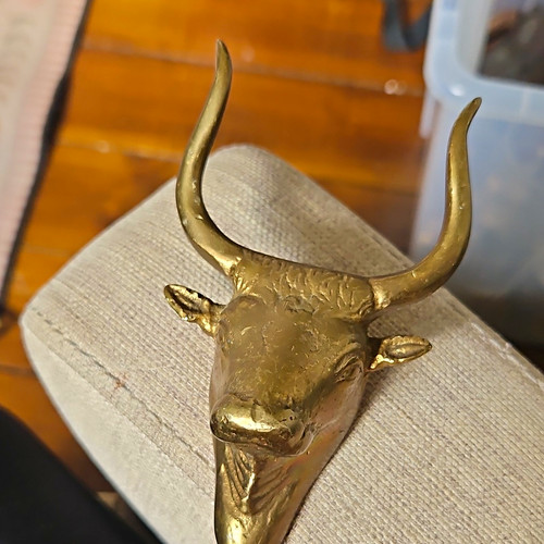 Brass bull head - brass,