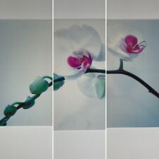Trio of Board Mounted Canvas Pictures 'White Orchids" by Urszula 134/200 Signed