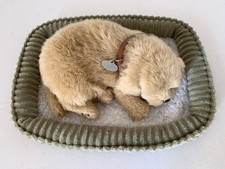 PRECIOUS PETZZZ COMPANION